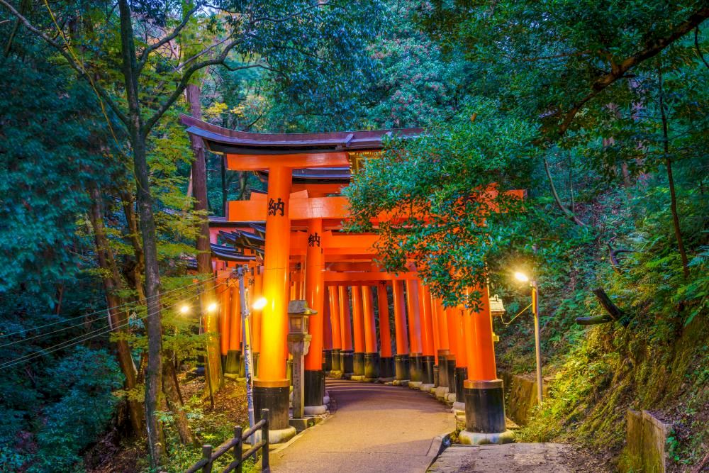 The gates create tunnels through the forest, representing sacred symbolism, ancient architecture, and photo-worthy symmetry (Source: Freepik)